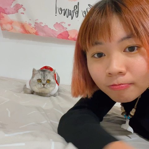 ㄒㄩˇㄧㄚˇㄩㄣˊ