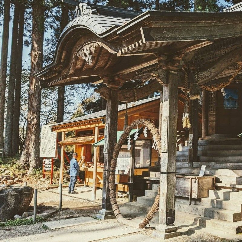 SD-SB1＋本機向け志賀勝栄レシピ付き (Panasonicホームベーカリー) SD-SB1＋本機向け志賀勝栄レシピ付き (Panasonicホームベーカリー) SD