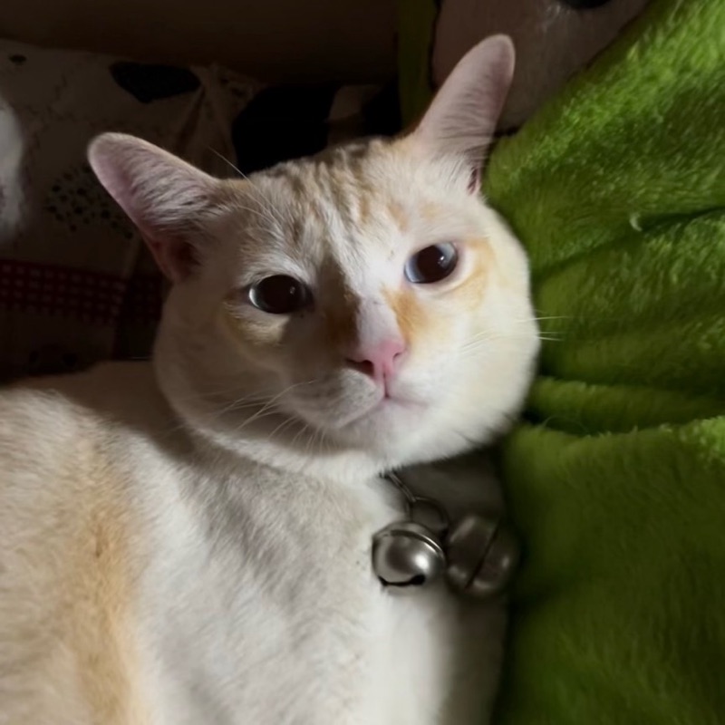 ภีม