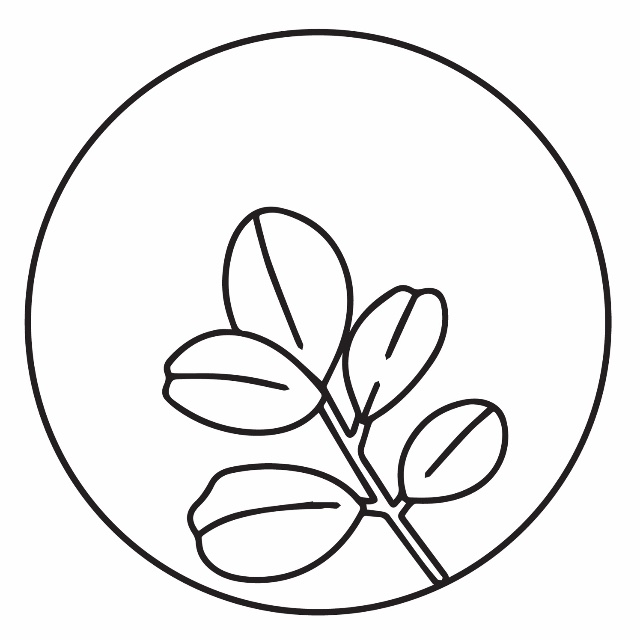 An Image