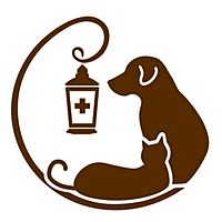 Show profile photo