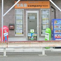 Show profile photo