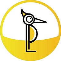 Show profile photo