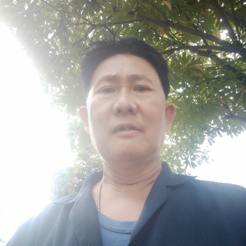 เฟิร์น