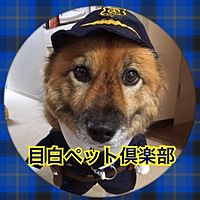 Show profile photo