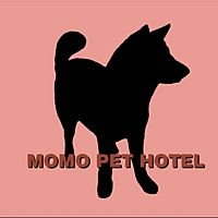 Show profile photo