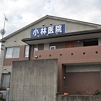 Show profile photo