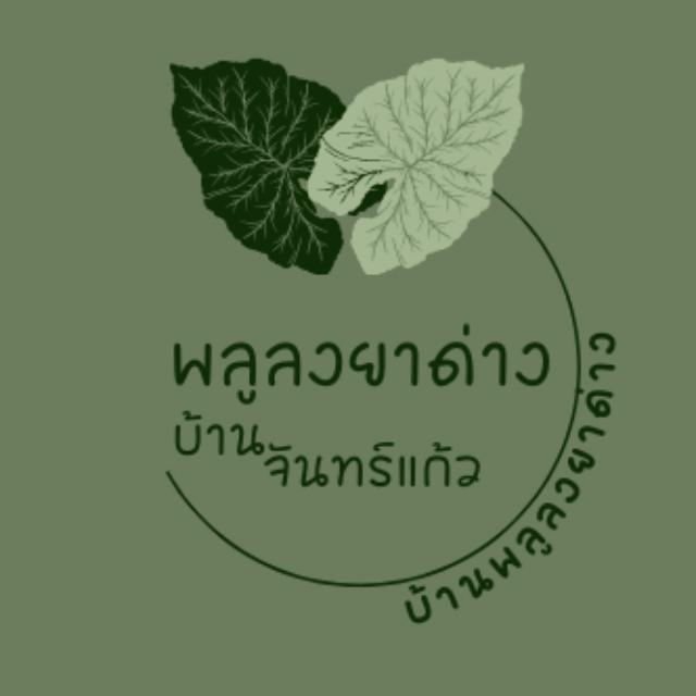 An Image