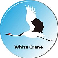 Show profile photo