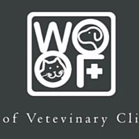 Show profile photo