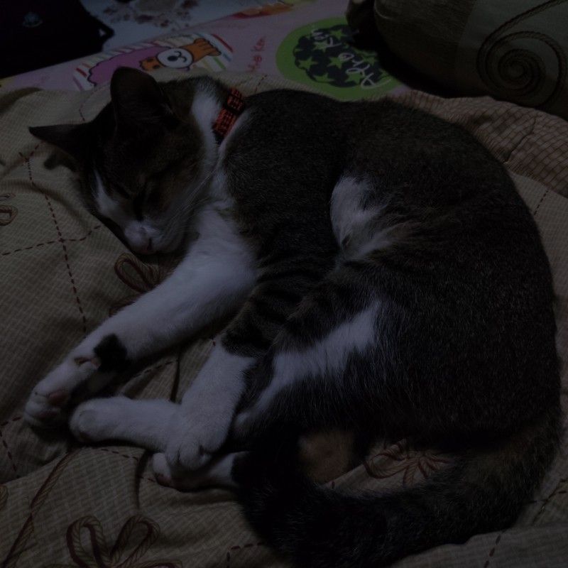 อาทิตวัน ชำนิ