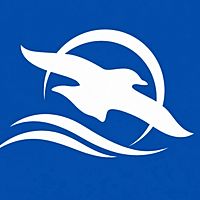 Show profile photo