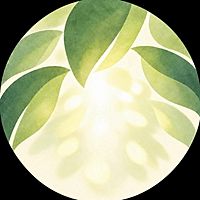 Show profile photo