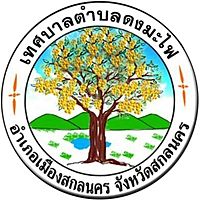 Show profile photo