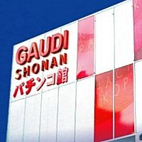 Show profile photo