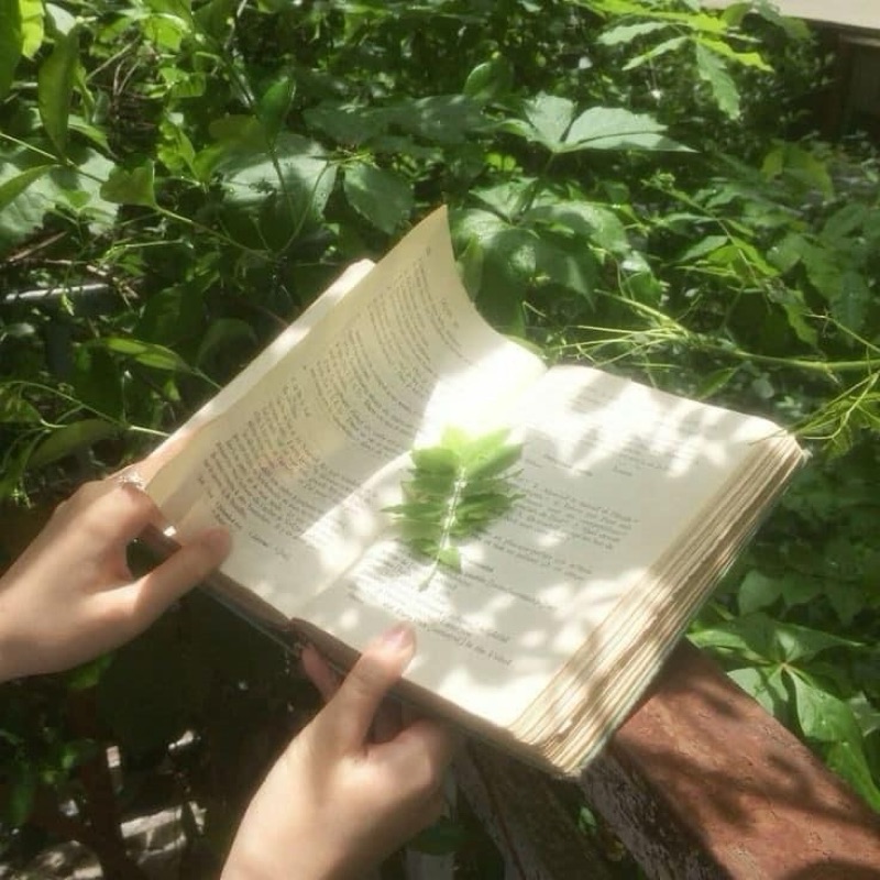 まおりん