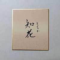 Show profile photo