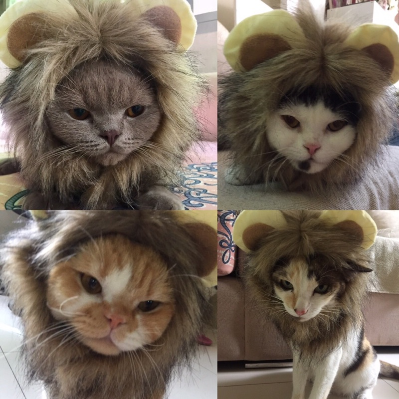 พรรณ