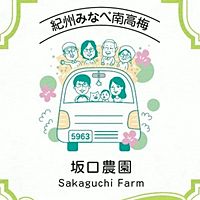 Show profile photo