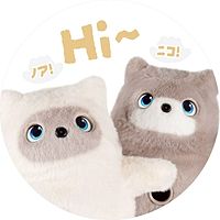 Show profile photo