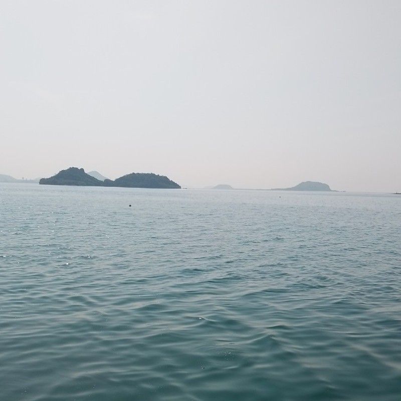 น.ส.ณฤดี วันเฟื่องฟู