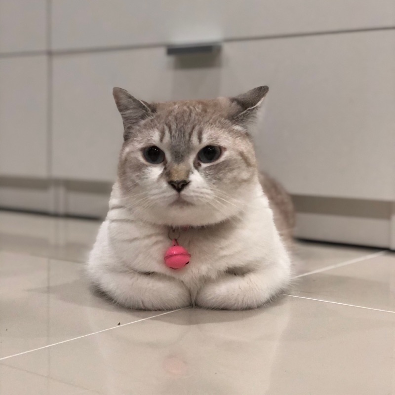 ต้น
