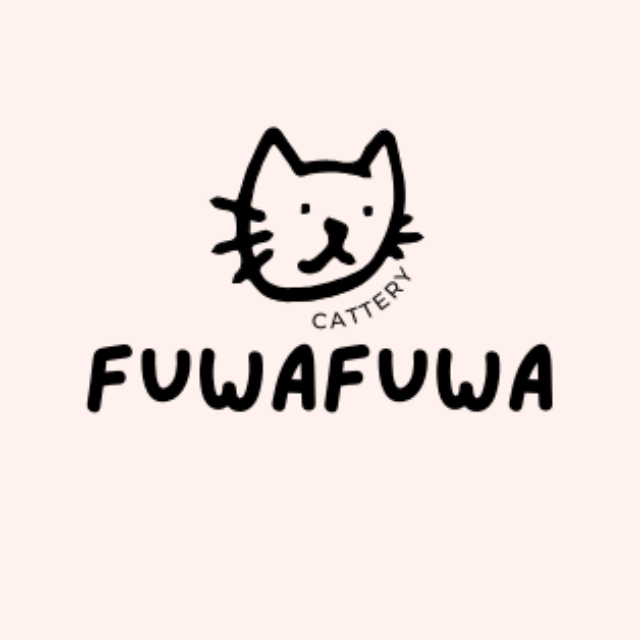 An Image