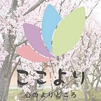 Show profile photo