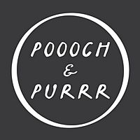 Show profile photo