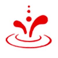 Show profile photo