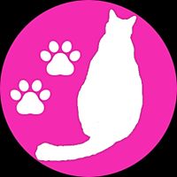 Show profile photo
