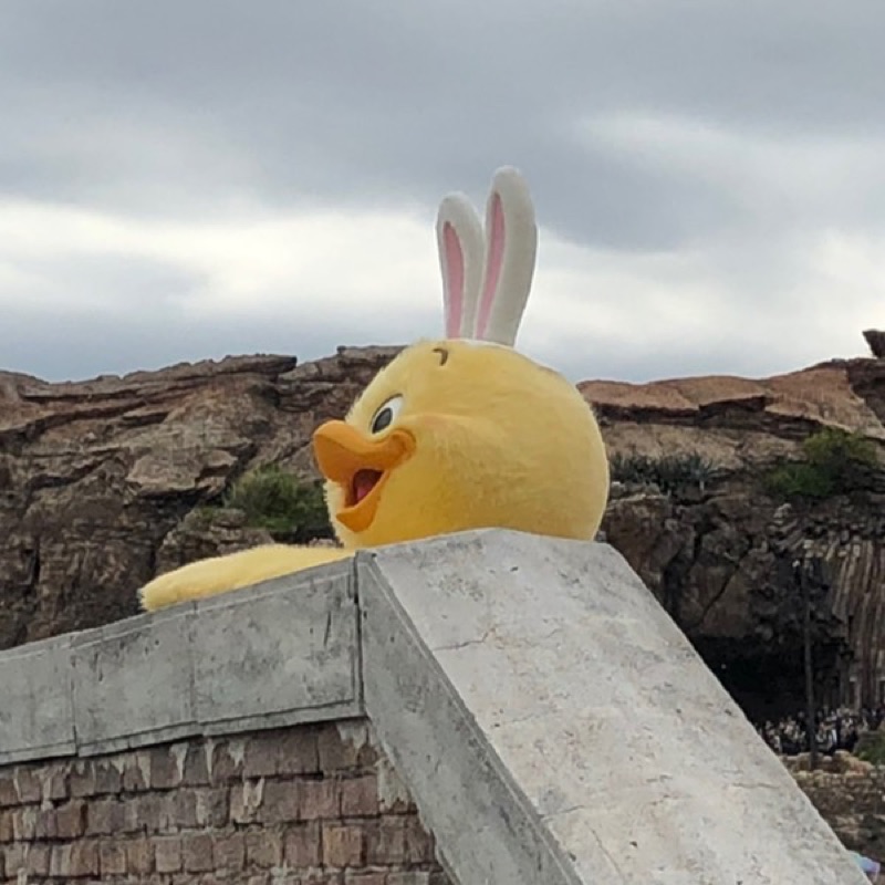 ゆ  の