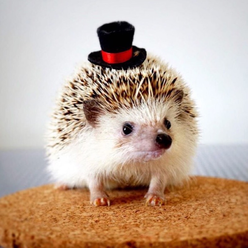 ❁.*･ﾟ☺︎rika☺︎❁.*･ﾟ