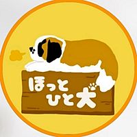 Show profile photo