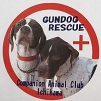 Show profile photo