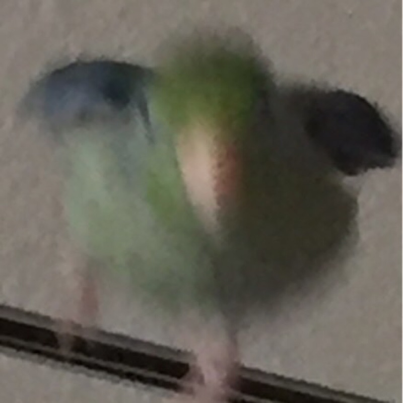 แอนนี่