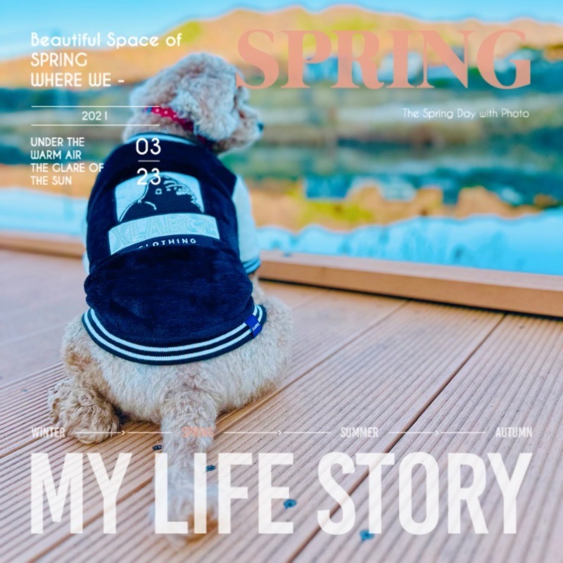 ˚✼•༚ e̥ͦ-̥ͦm̥ͦi̥ͦn̥ͦ ༚•✼˚