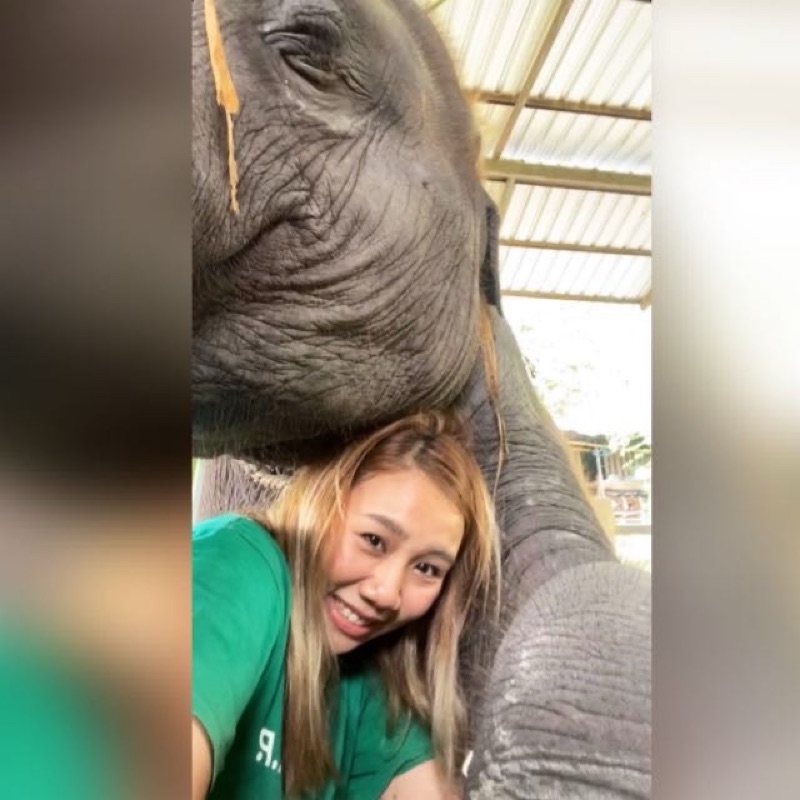 บอย