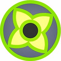 Show profile photo