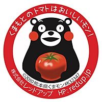 Show profile photo