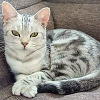 Show profile photo