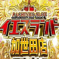 Show profile photo
