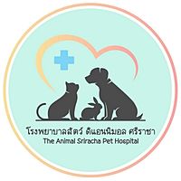 Show profile photo