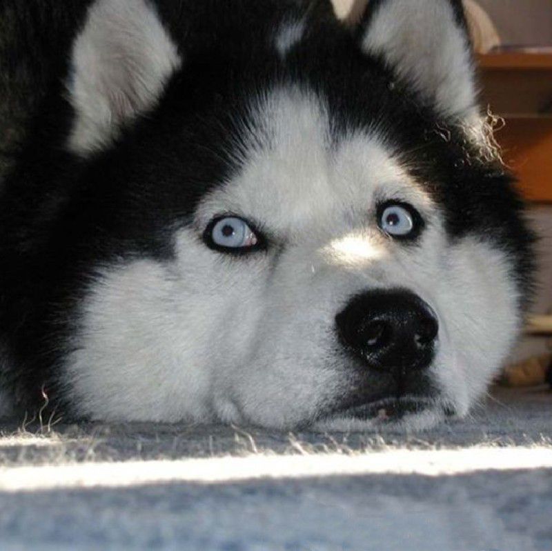 0hJMPegZ3MFWJtHADHgf1qNVFZGw8aMhMqFXJSDUoaT1BCKQU8WC9SUUgfSVYSJFBnUngPABhMTloS