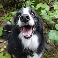 Show profile photo