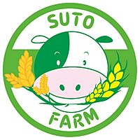 Show profile photo