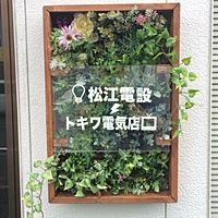Show profile photo