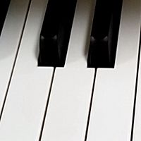 Show profile photo
