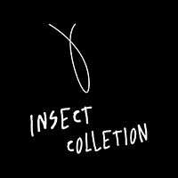 Insec