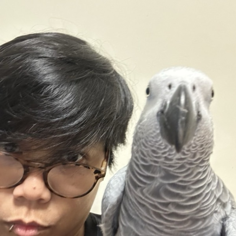 Bobo